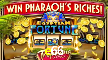 VIP Casino e66